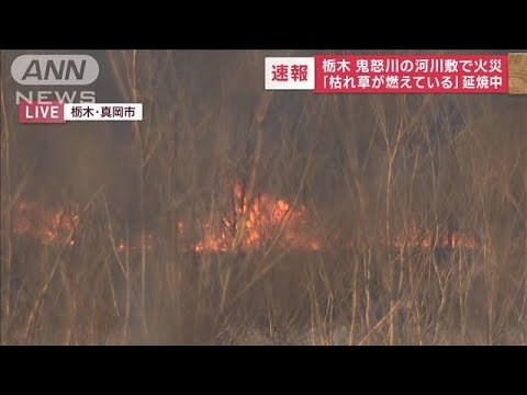 【速報】「枯草が燃えている」鬼怒川の河川敷で火災　消火活動続く(2023年1月31日)