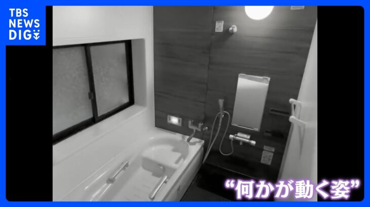 浴室に設置されたカメラに“恐ろしいもの”の姿が映りこんでいたと話題に！ その正体とは…｜TBS NEWS DIG