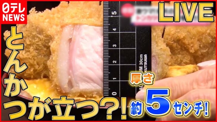 【どんぶりライブ】完成まで5年”究極丼”/炭火焼き豚丼/立ち食いの海鮮丼/トンカツが立つ!?極厚カツ丼　など (日テレNEWS LIVE)