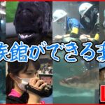 【水族館の舞台裏ライブ】世界中の美しい水辺6つを再現/ 新水族館オープンまでの秘話/新人飼育員の仕事 など（日テレNEWS LIVE）