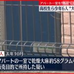 【逮捕】高校生ら不良仲間の少年6人…大麻所持の疑い