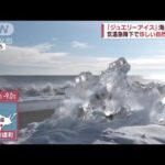 都心で最高7.7℃！今季一番寒さ　海岸が輝く自然現象「ジュエリーアイス」(2023年1月16日)