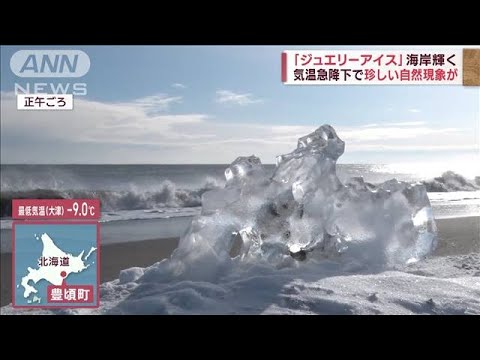 都心で最高7.7℃！今季一番寒さ　海岸が輝く自然現象「ジュエリーアイス」(2023年1月16日)