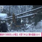 【速報】大雪の鳥取市内　7集落で約800人が孤立(2023年1月28日)