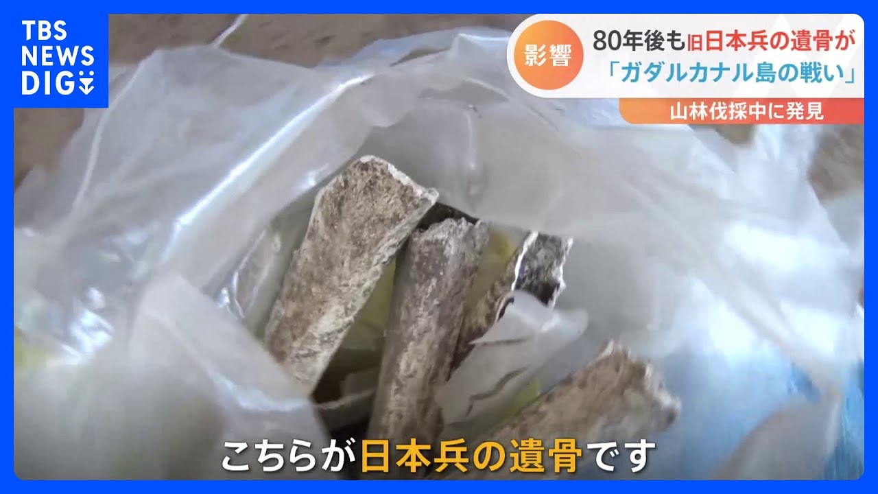 「ガダルカナル島の戦い」から80年　今なお続く旧日本軍の遺骨収集に影…中国マネーで進む開発｜TBS&nbsp;NEWS&nbsp;DIG