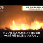 渡良瀬遊水地で火災 9時間後に鎮火 約300ha焼けたか(2023年1月31日)