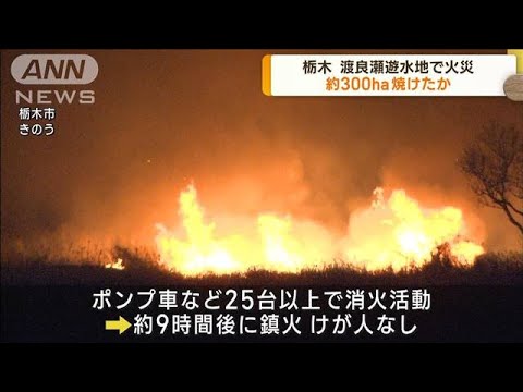 渡良瀬遊水地で火災 9時間後に鎮火 約300ha焼けたか(2023年1月31日)