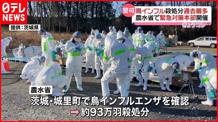 【過去最多】鳥インフルでニワトリ998万羽を殺処分 農水省で緊急対策本部を開催