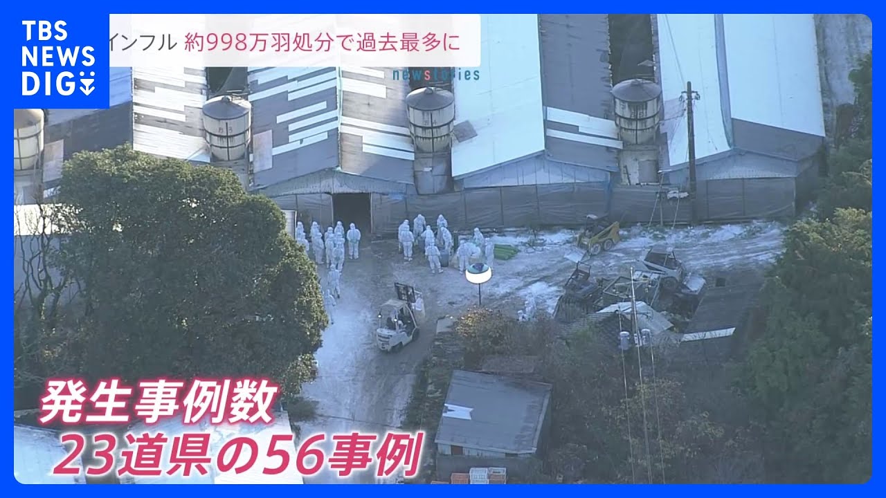 鳥インフルエンザの殺処分対象数が過去最多の998万羽に…今シーズンは最も早く10月に発生確認…発生事例は最多の23道県56事例に異例のペースで急拡大|TBS NEWS DIG