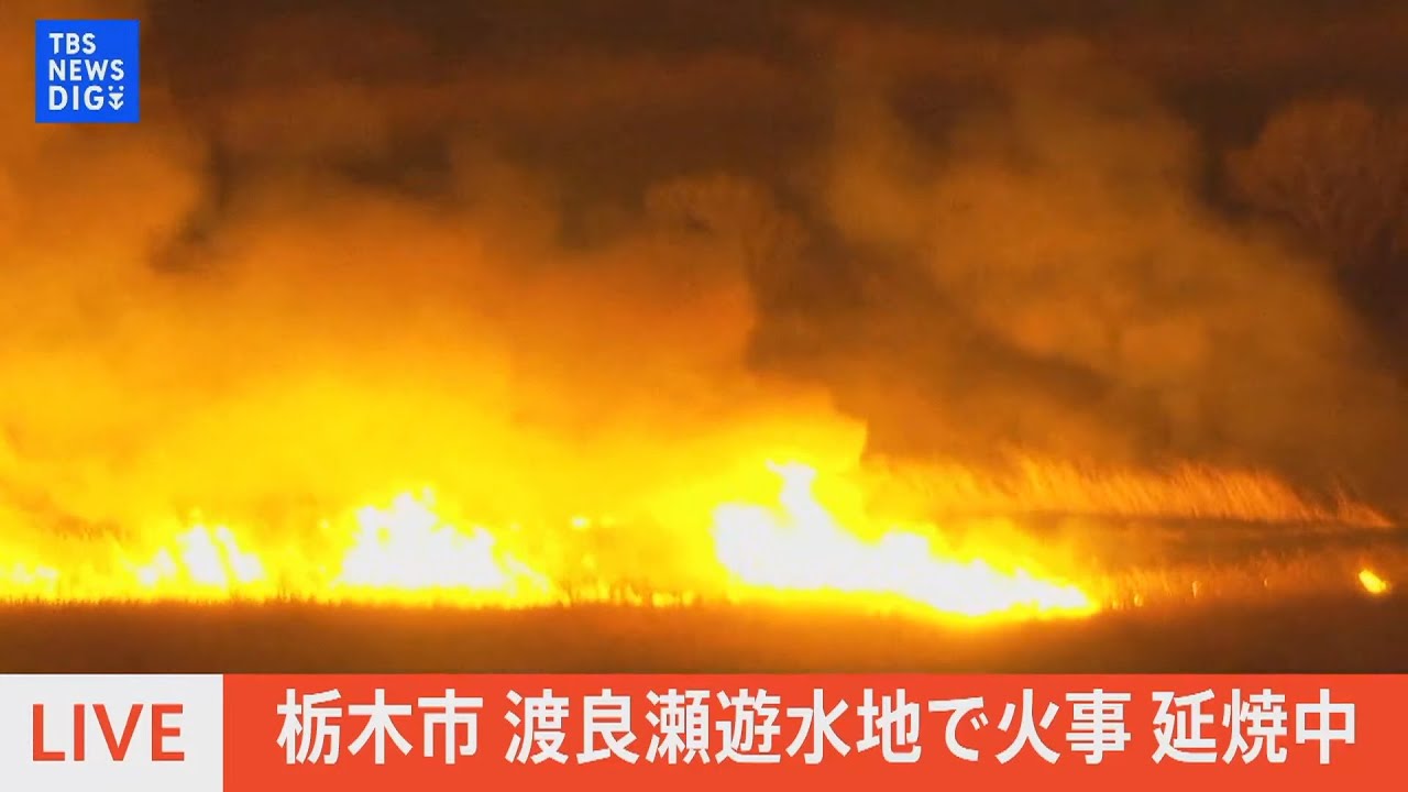 【LIVE】栃木市 渡良瀬遊水池で火事(2023年1月30日)| TBS NEWS DIG