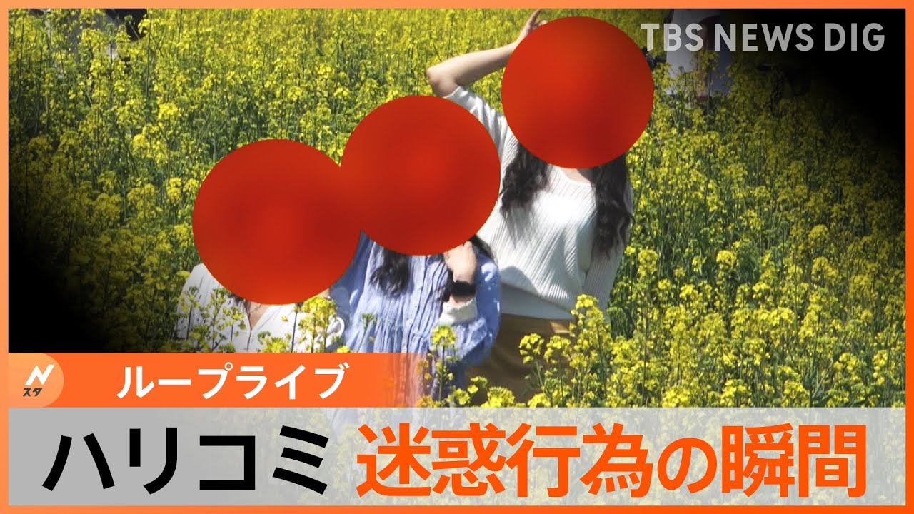 ハリコミ取材班がとらえた迷惑行為の瞬間【Nスタ・ループライブ】|TBS NEWS DIG
