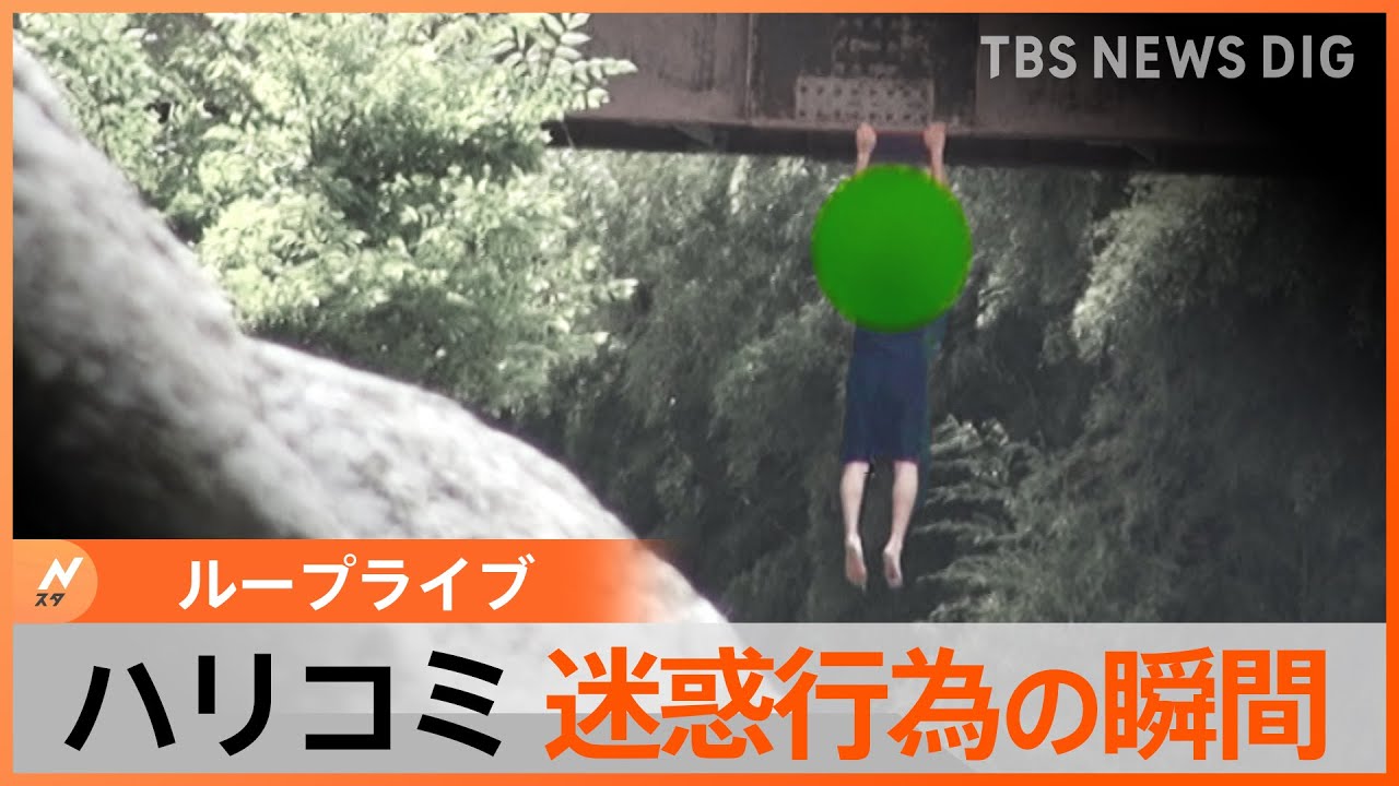 ハリコミ取材班がとらえた迷惑行為の瞬間【Nスタ・ループライブ】｜TBS NEWS DIG