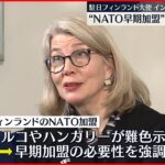 【駐日フィンランド大使】「NATO早期加盟」の必要性を強調