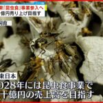 【NTT東日本】「昆虫食」事業に“参入” 数十億売り上げ目指す
