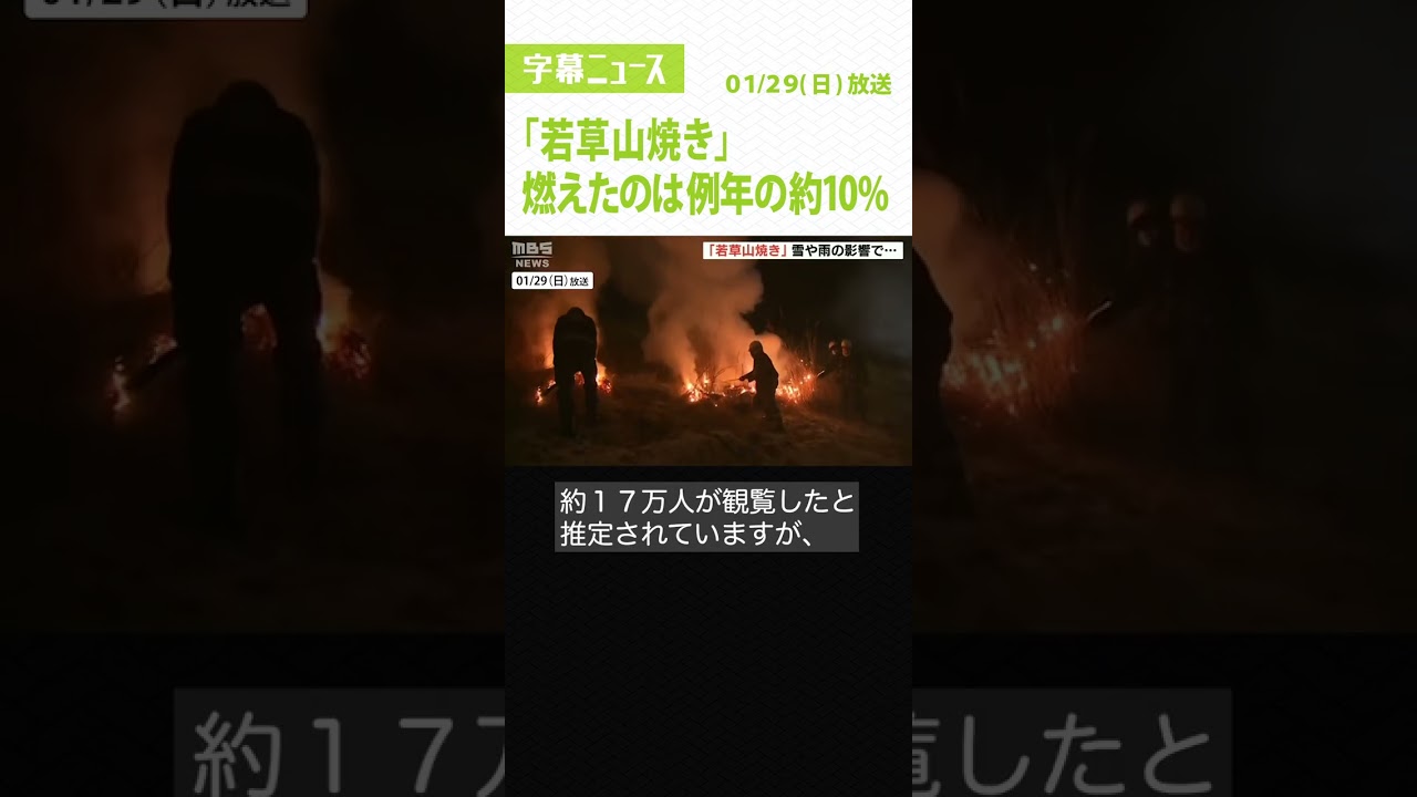 #shorts #若草山焼き #伝統行事