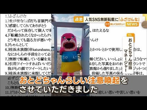 「ふざけんな」水族館の人気SNS　無断転載に“注意喚起”(2023年1月9日)