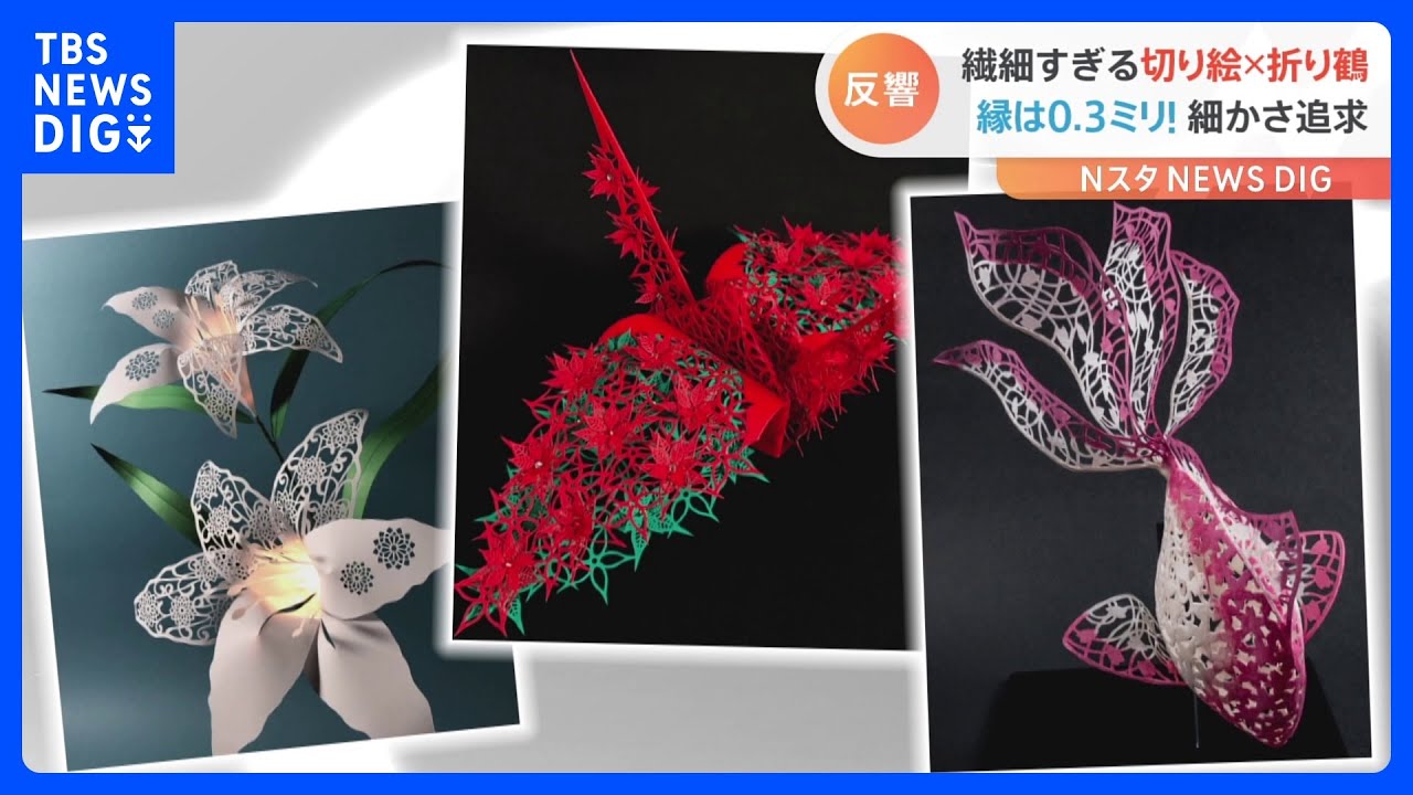 SNSで話題！まるでレースの刺繍のような折り鶴　切り絵で作るそのスゴ技｜TBS&nbsp;NEWS&nbsp;DIG