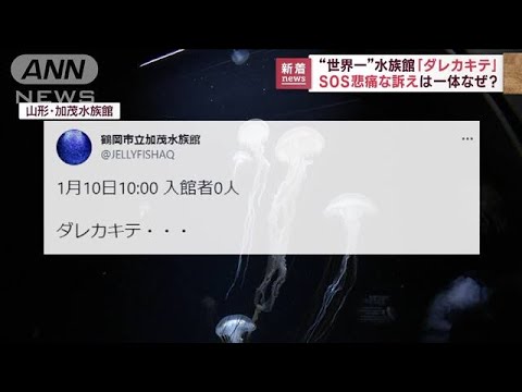 【悲痛なSOS】「ダレカキテ…」入館者ゼロの水族館　“クラゲ世界一”なのに…なぜ？(2023年1月17日)