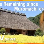 Wakaichi Study Tour：Two Sennenyas remaining since Muromachi era (14-16c)【若一調査隊「千年家」英語字幕版】