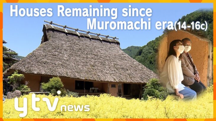 Wakaichi Study Tour：Two Sennenyas remaining since Muromachi era (14-16c)【若一調査隊「千年家」英語字幕版】