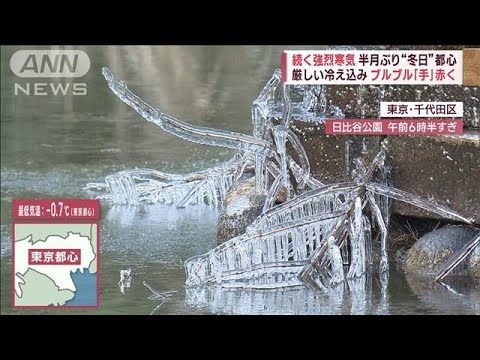 【強烈寒気】都心ー0.7℃　野菜凍り…食卓影響も　浅草では温かさ求め「豚汁」に行列(2023年2月16日)