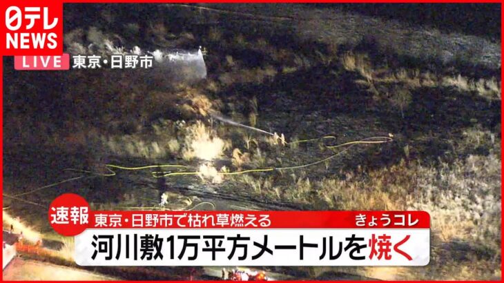 【速報】河川敷で枯れ草およそ1万平方メートルが燃える火事 火の勢いおさまる 東京・日野市