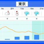 【予報士解説】10日は東京都心でも大雪のおそれ　帰宅の足に影響か｜TBS NEWS DIG
