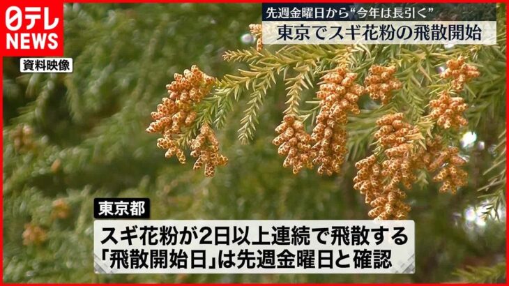 【スギ花粉】10日から飛散開始と発表 去年より5日早く… 東京都