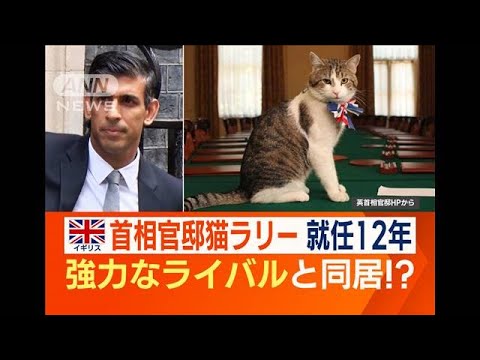 英首相官邸「ネズミ捕獲長」ネコ　就任12年　“毒舌”も人気…“最大ライバル”と同居(2023年2月16日)