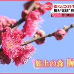 【きょうの1日】都心は3月中旬“春の陽気”…梅が見頃　北海道・長野ではまとまった雪