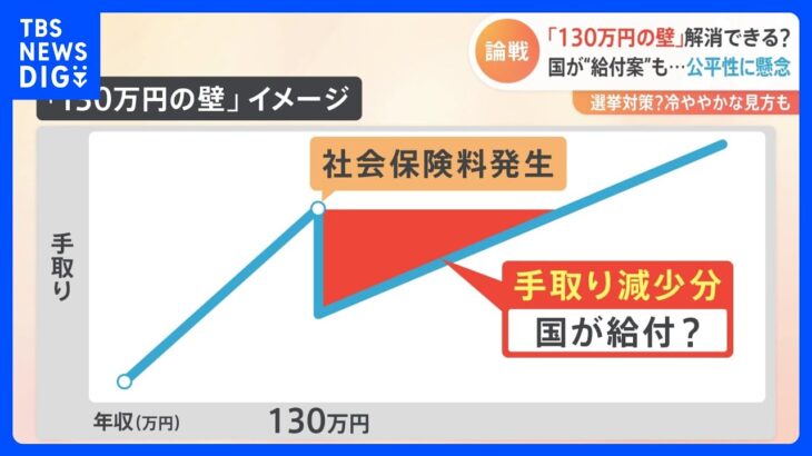 「年収130万円の壁」を国が“穴埋め給付”？政府内で意見割れる　総理周辺「独身の人に理解を得られるか」｜TBS NEWS DIG