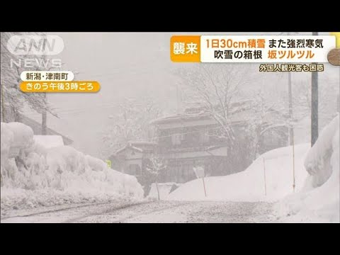 また“強烈寒気”　新潟で1日30cm積雪　駅前に“雪の壁”…吹雪の箱根　観光客も困惑(2023年2月15日)