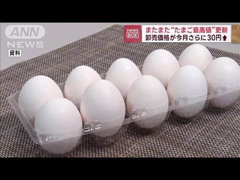 卵の卸売価格 1キロ＝335円　過去最高を更新(2023年2月14日)