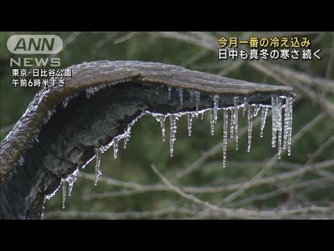 都心も15日ぶり冬日　日中も気温上がらず厳しい寒さ(2023年2月16日)