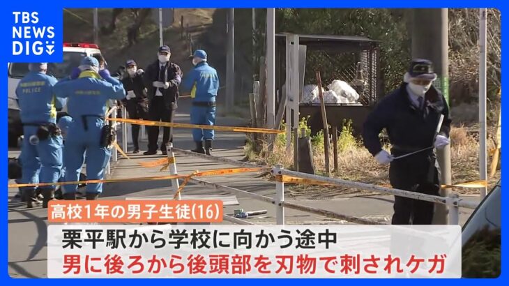 川崎市の小田急栗平駅近くで男子高校生（16）が後頭部刺される　命に別状なしとみられる　刺した男は現場から逃走中｜TBS NEWS DIG