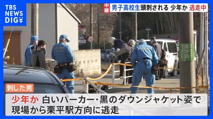 川崎市の小田急・栗平駅近くで男子高校生（16）が後頭部刺される　刺した男は少年か…現場からはナイフ発見　現在も逃走中｜TBS NEWS DIG