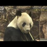 和歌山のパンダもあすお別れ 「16頭の父」永明ら3頭(2023年2月21日)