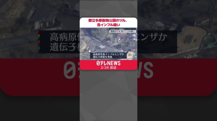 【都立多摩動物公園のツル】鳥インフル疑い 17日にはカモ4羽が陽性…臨時休園を継続 #shorts
