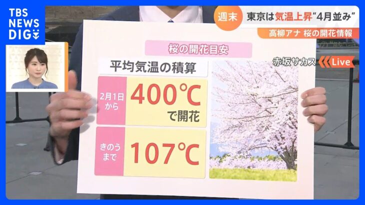 もうすぐ春？ 19日 東京は最高気温18℃予想・・・桜はいつ咲く？開花目安 “400℃の法則”とは 【気象予報士解説】｜TBS NEWS DIG