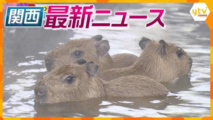 【ニュースライブ 2/23(木)】カピバラの三つ子の赤ちゃん/淀ちゃん 迷ってなかった／沖縄拠点に各地で「オレオレ詐欺」　ほか【随時更新】