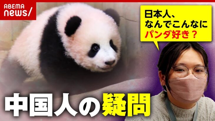 【シャンシャン返還】「2時間待つ価値ある？」日本の強すぎるパンダ愛 中国人ADがツッコミ｜ABEMA的ニュースショー