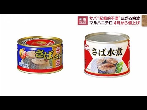 【記録的不漁】マルハニチロがサバ缶を値上げへ(2023年2月21日)