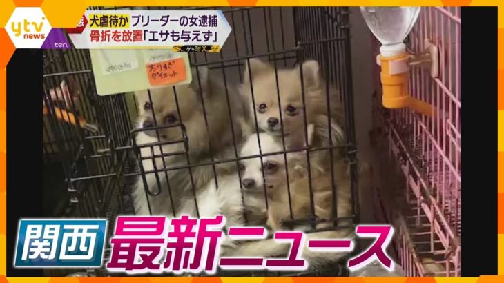 【ニュースライブ　2/8(水) 】劣悪環境で犬飼育 ブリーダーの女逮捕/業務用冷凍庫から男性遺体/男性が刺され重傷 男を逮捕/大阪ダブル選の構図固まる/ルフィ事件あと２人も強制送還へ ほか【随時更新】