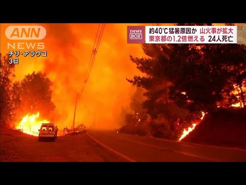 チリの山火事拡大、24人死亡　40℃超の猛暑原因か(2023年2月6日)