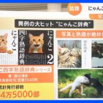 累計発行部数は24万5000部「にゃんこ四字熟語辞典」とは？【猫の日】｜TBS NEWS DIG