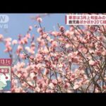 “爆弾低気圧”接近中　北日本“大荒れ”東京は3月上旬並みの陽気(2023年2月1日)