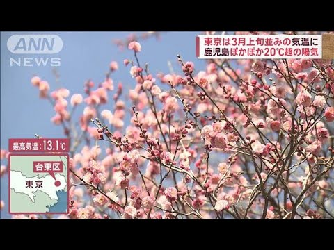 “爆弾低気圧”接近中　北日本“大荒れ”東京は3月上旬並みの陽気(2023年2月1日)