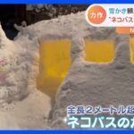 「雪まつりに出せそう」ジブリファン悶絶！3姉妹が雪で作った「ネコバス」のかまくらがスゴすぎると話題に｜TBS NEWS DIG