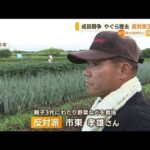 成田闘争「やぐら」強制撤去　反対派3人逮捕…農家は憤り「農業を続けたいそれだけ」(2023年2月17日)
