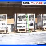 “ビッグダディ”もさようなら…和歌山のパンダ3頭が中国へ　午後のチャーター便で出発｜TBS NEWS DIG